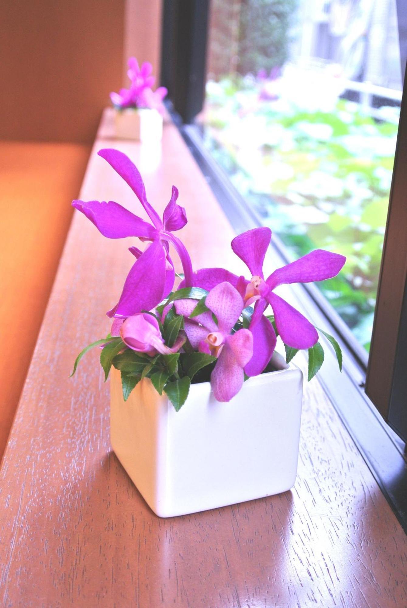 Almont Inn Tokyo Nihonbashi Экстерьер фото